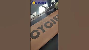 How to Print Large Format Logo on Carton Box By CYCJET Case Coder Inkjet Printing System.