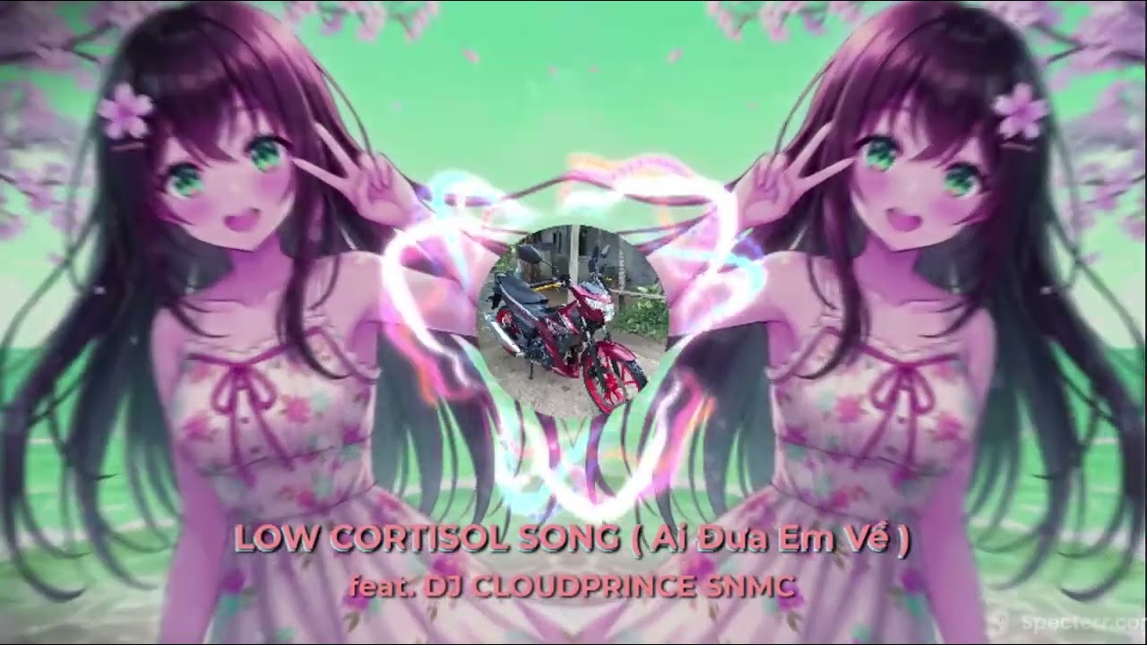 Low Cortisol Song (Ai Đưa Em Về ) - DJ CLOUDPRINCE SNMC