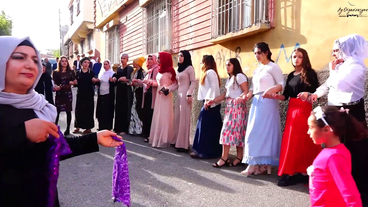 BERFİN MÜZİK (AYDIN&KUŞÇİ AİLE'LERİNİN NİŞANI)/SEGAVİ/2019