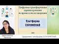 Цифровая трансформация здравоохранения во время и после пандемии