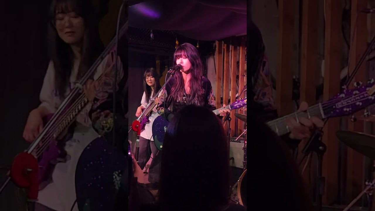 Enter Sandman (260208 부산 오방가르드)