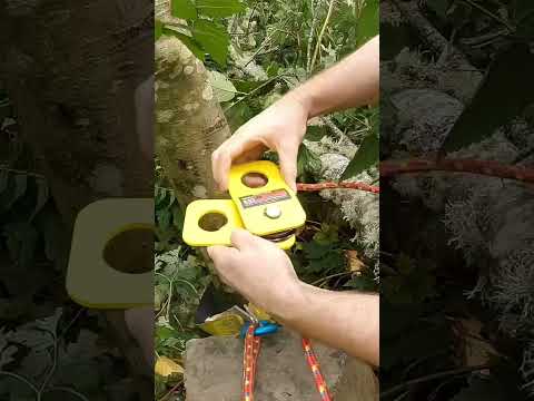 Video: Polyspast ay Pole hoist device