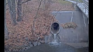 Bettendorf Duck Creek Web Camera