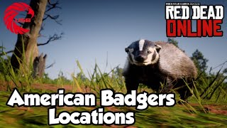 American Badger Locations rdr2 Online - Red Dead Online American Badgers Location Guide