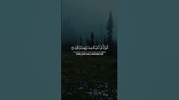 [ ولا تحسبن الذين قتلو في سبيل الله امواتا ] حالات واتس اب قرآن كريم | عبدالمحسن الضباح