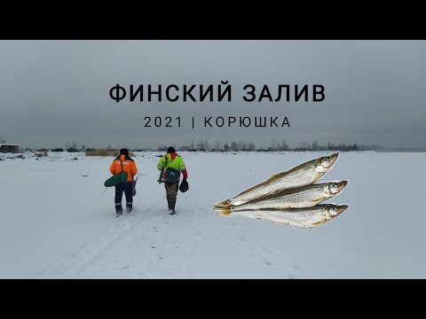 ФИНСКИЙ ЗАЛИВ |