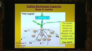 How Cation Exchange Capacity works