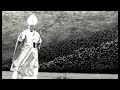 Pope John Paul II's canonisation