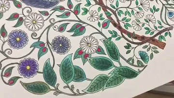 Can you watercolor in adult coloring books?