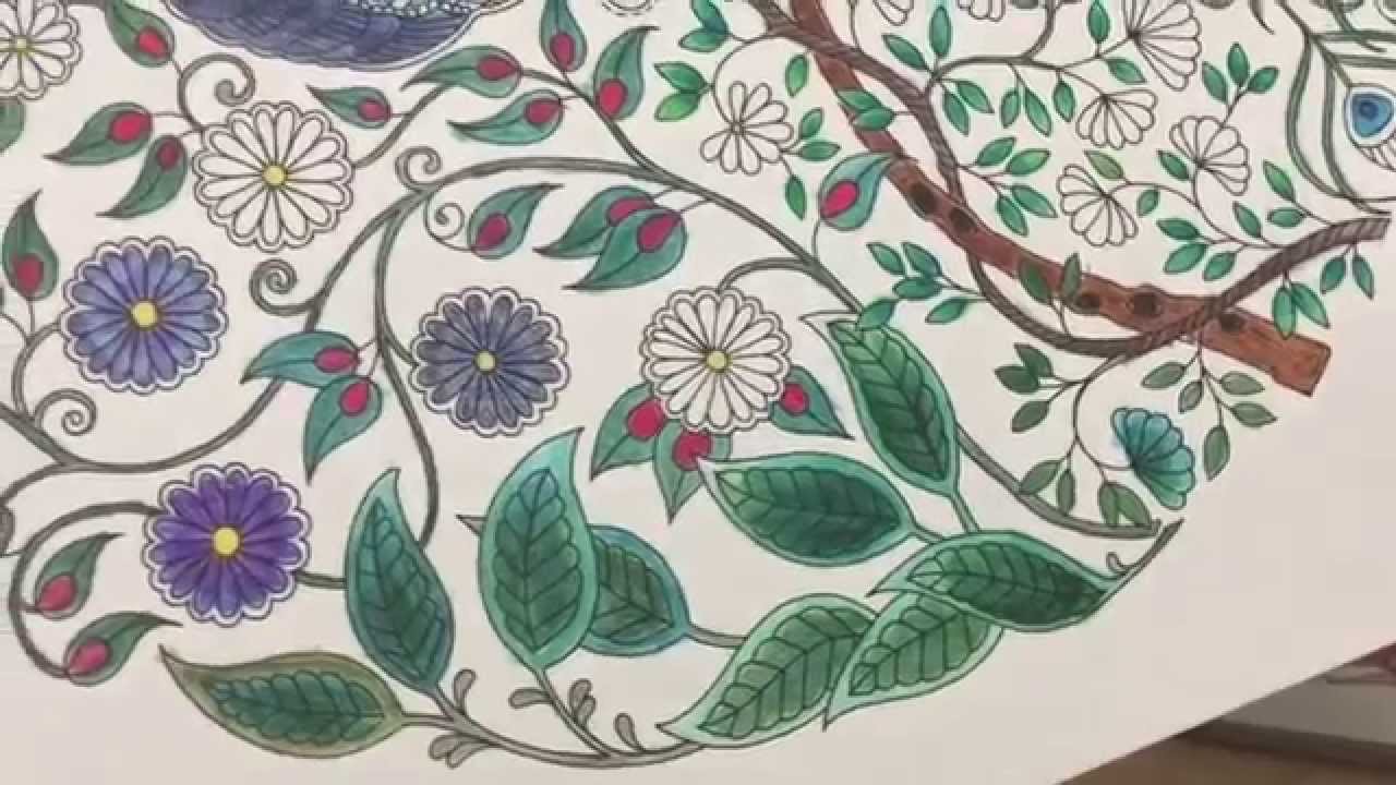 How to Use watercolor pencils with adult coloring books - YouTube