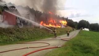Brann I Kyllingfjøs