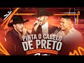 Pedro sanchez e thiago  luanpereiralp  pinta o cabelo de preto dvd entre um bar e outro ao vivo