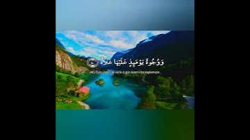 مترجم تركي القارىء ابو عبدالعزيز سالم❤حالات واتس اب قران❤تلاوة خاشعة💙 Quran Status💜اية قرانية قصيره
