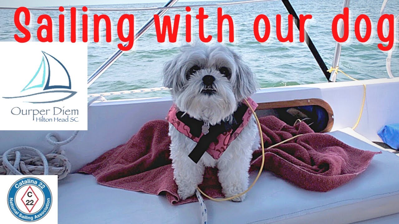 Learning to sail our Catalina 22