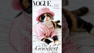 Vogue cat. #ai #cat