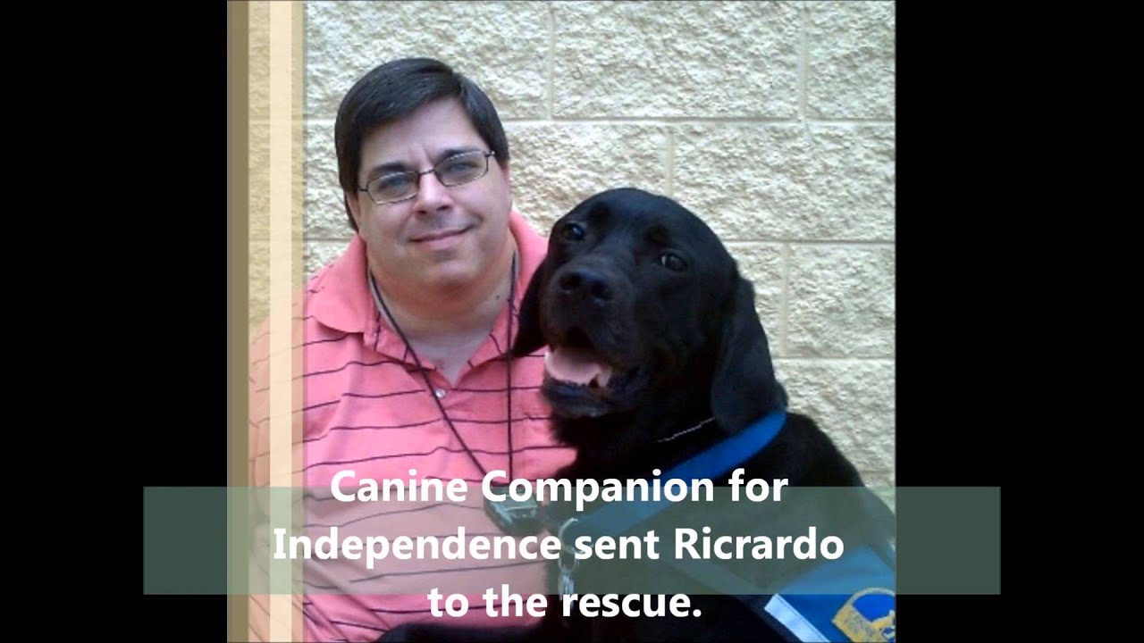 James Perdue's American Dream