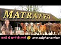 Matratva ने बनाया करोड़पति || Young Female Farmer ||  कभी खाने को भी नही था || Hello Kissan