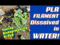 PLA Dissolved in Water | Biodegradability Testing