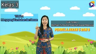 Kelas 3 Tema 2 Subtema 1 Pembelajaran 5 dan 6
