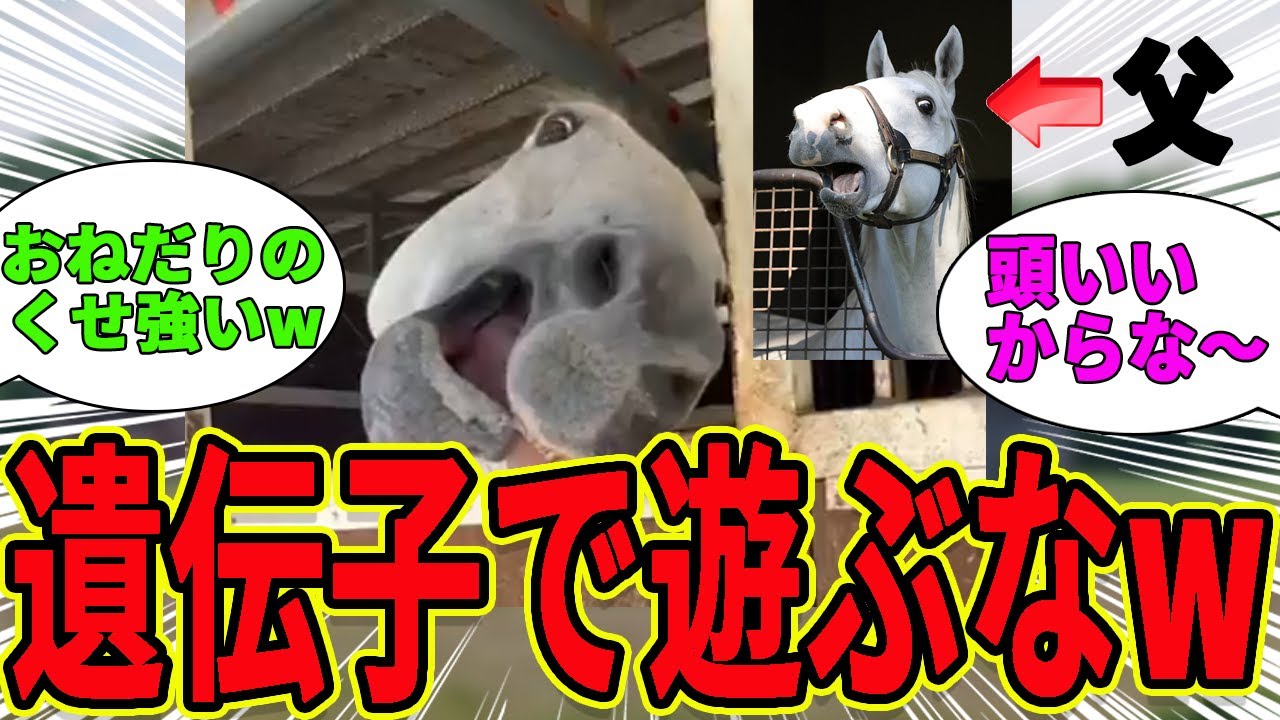 【ゴールドシップ】子ども達も個性豊かでかわいいwwに対するみんなの反応集【競馬の反応集】