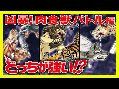 漫画 最強 凶暴 肉食動物が戦ったら どっちが強い バトル Youtube