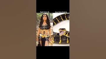 Dress colour snake 🐍 of Nagin Actress 🐍 | #drees #colors #snake #nagin #naginsong #nagindance