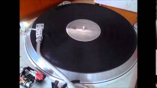 2 Flying Stones - Analog Signal [Darkside Edit] 12inch 33