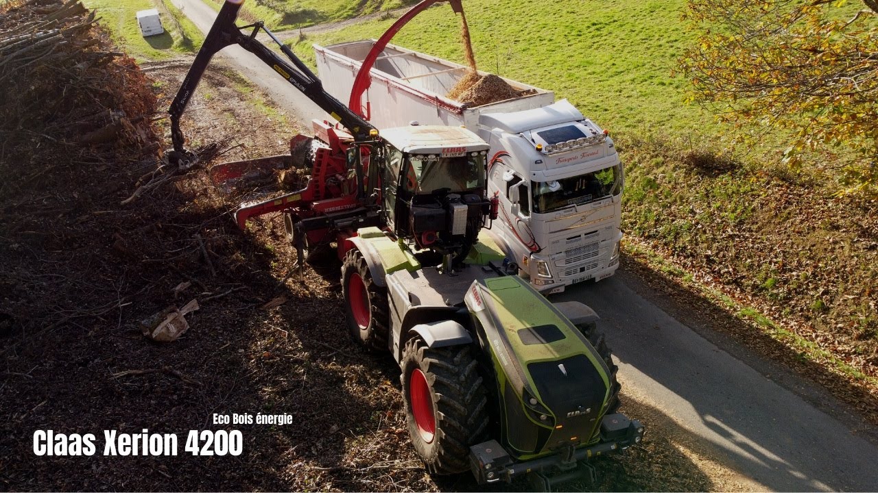 🌲 460ch au broyage de bois 2021/ Xerion 4200 et broyeur Eschlböck Biber 84/[SARL ECO BOIS ENERGIE] 🤠