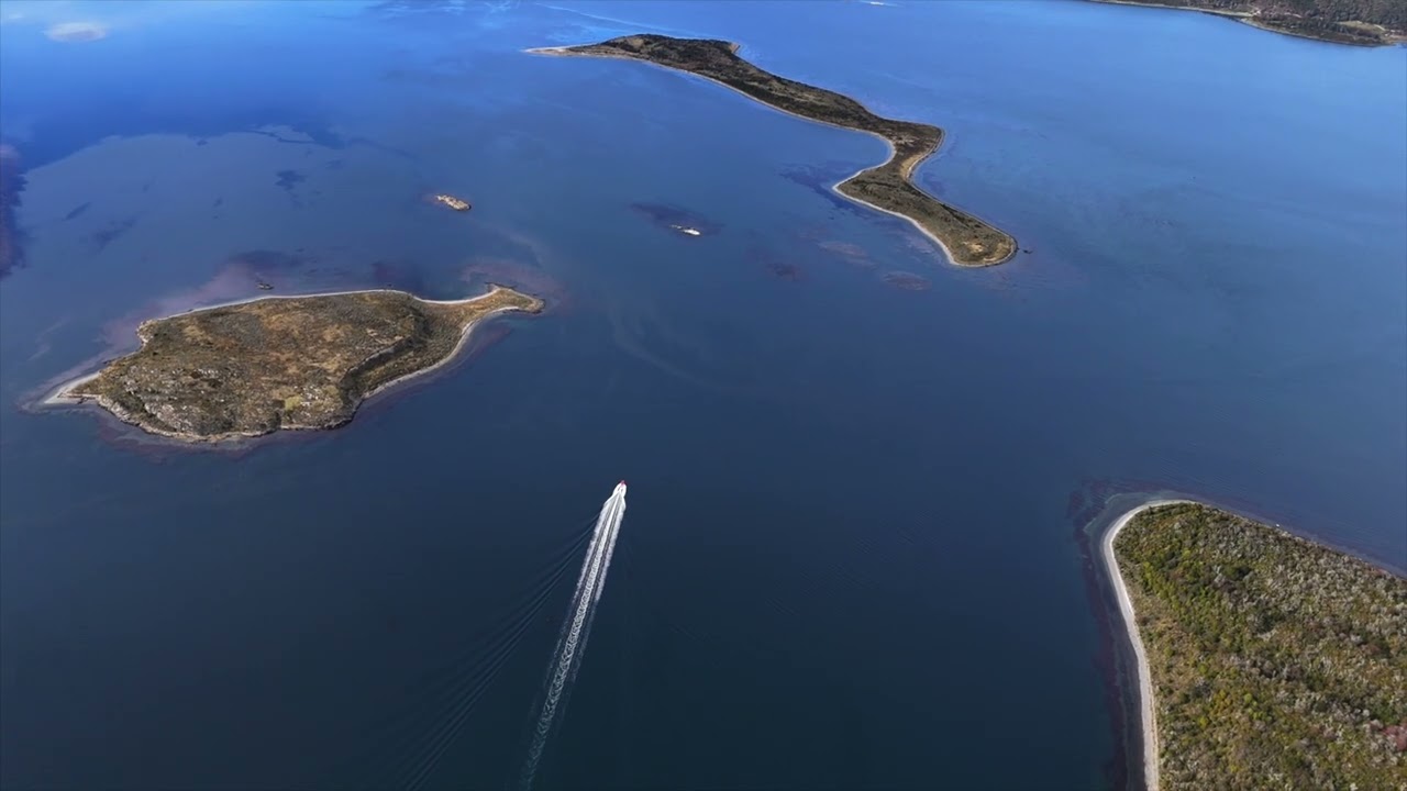 Ushuaia Boating - Almanza, Pinguinera - Turismo en Ushuaia