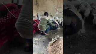 Thank You For Your Support contentcreator short ytviral