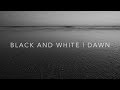 Living Landscape | Black and White | Dusk [4K]