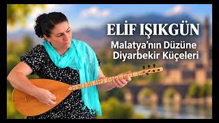 Elif Işıkgün - Düğünlerde Oynatan Halay Türküleri 💃🕺 Malatya'nın Düzüne - Diyarbekir Küçeleri
