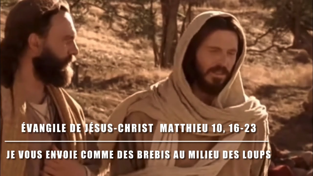 Évangile de Jésus Christ + commentaire : Matthieu 10, 16-23 - Comme des