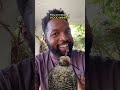 Falconry Concepts and Terminology