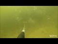 Подводная охота на Ахтубе.