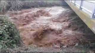 Walla Walla Valley 2020 flood part 1