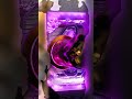 The rocket  #gaming #pcgaming #pcbuild #shorts ￼