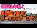 【競馬・馬主】2026年春❗️育成馬に会いにノーザンファームへ‼️（Vol.297）