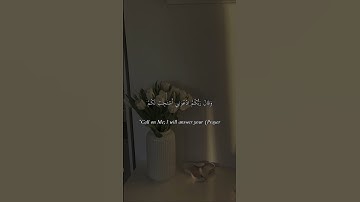 سورة غافر 😌🍃