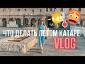 Как жить летом в Катаре. Сук вакиф, Мастерклассы, Животные в Дохе. ОДИН ДЕНЬ ИЗ ЖИЗНИ В КАТАРЕ