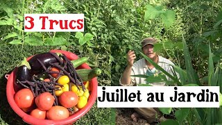 3 Trucs à faire en Juillet au Jardin