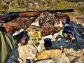 SHOOTING RED LEGGED PARTRIDGE IN SPAIN - www.reivaxfilms.net - www.reivaxfilms.com