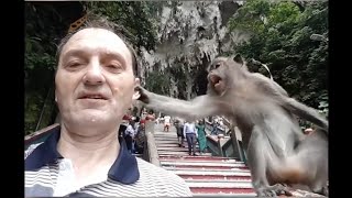 Komik Hayvanlar Komik Video Komik Insanlar Funny Videos