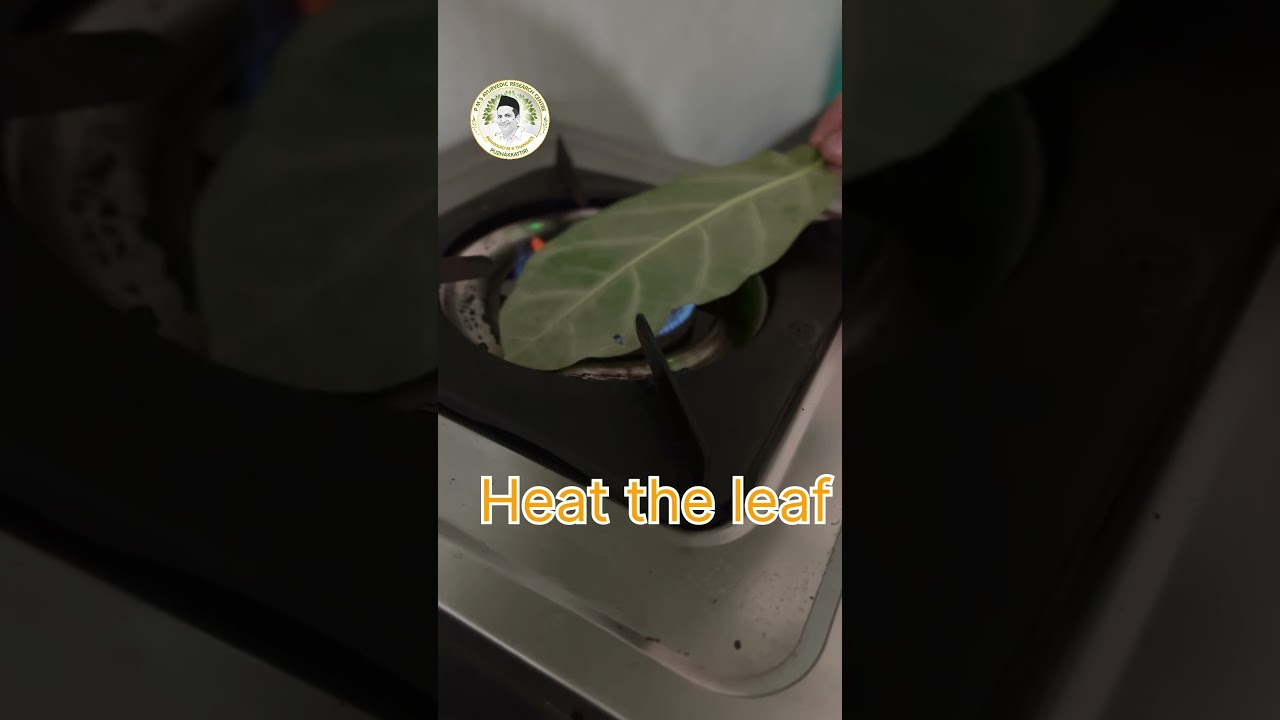 "Arka patra sweda🌸 helps with muscle and joint pain, especially for arthritis! 