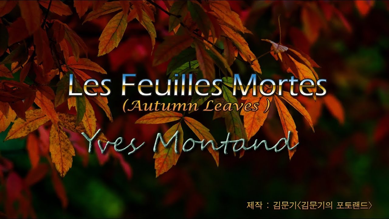 Yves Montand Les Feuilles Mortes ( Autumn Leaves ) YouTube — free download
