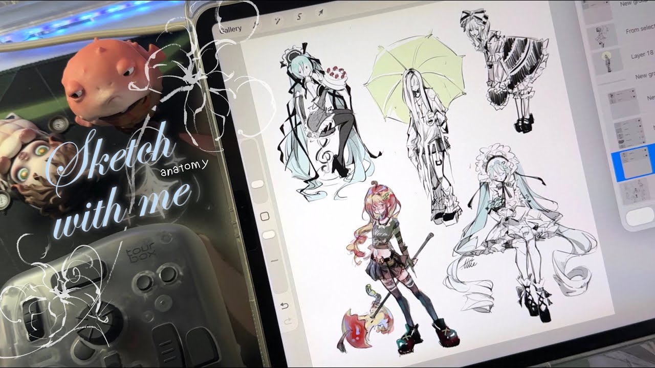 draw w/ me ft. Tourbox ✦︎ anatomy practice 🐛 iPad asmr