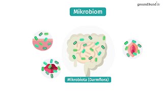 Was ist das Mikrobiom?