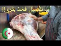 شاهد طريقة نزع عظم فخذ بقري مع ديدو البوشي!!!