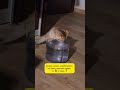 Новый способ заработка