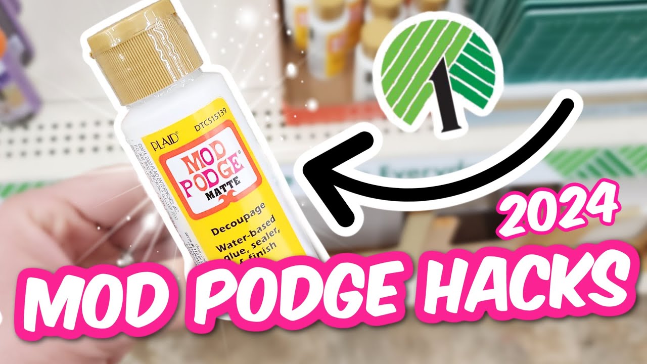 You Won't Believe How I Used DOLLAR TREE MOD PODGE